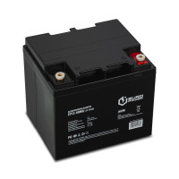 AGM акумулятор Europower 12V 40Ah EP12-40M6